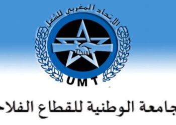 تأخر النظام الأساسي وتعويضات عالقة يشعلان غضب نقابة المياه والغابات بالمغرب